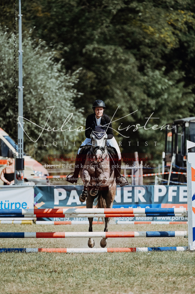 DSC_9477 | Pferde- und Turnierfotografie in Westsachsen. Pferdeportraits, Auftragszeichnungen und intuitive Kunst.