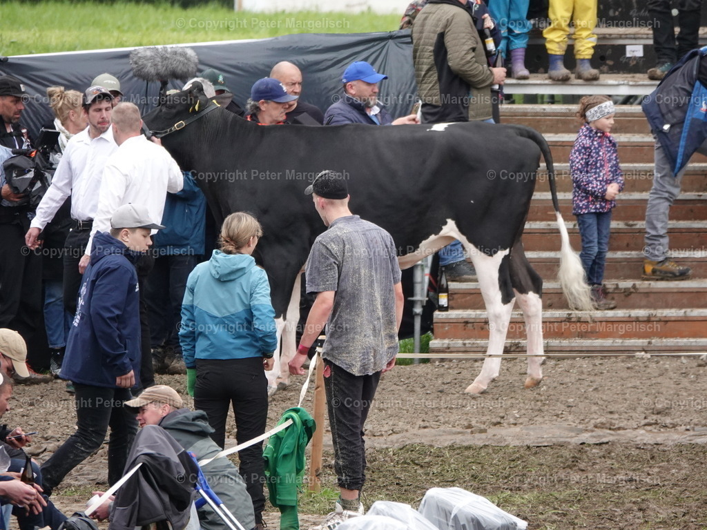 DSC07660 | Schwingen - Realisiert mit Pictrs.com