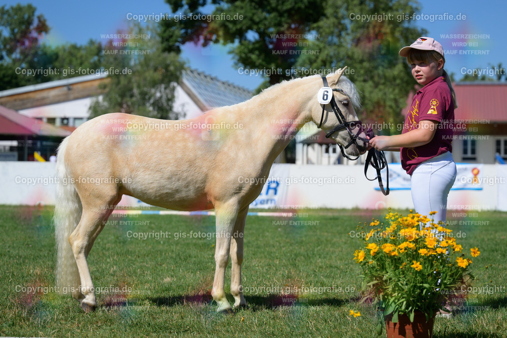 06_Lillyfee_v.Prinzen-Look_Schindele_250622_05 | gis-fotografie