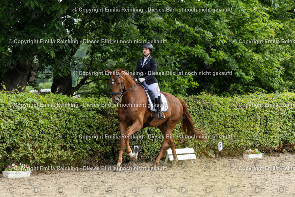 CL5A5123 | Emilia Reinking Fotografie - Realisiert mit Pictrs.com