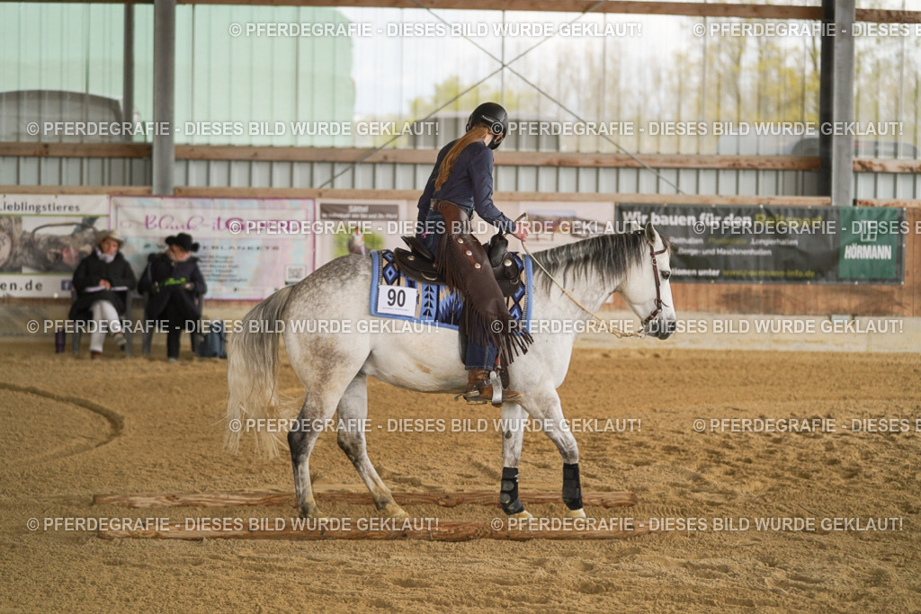 DSC05481 | Pferdegrafie