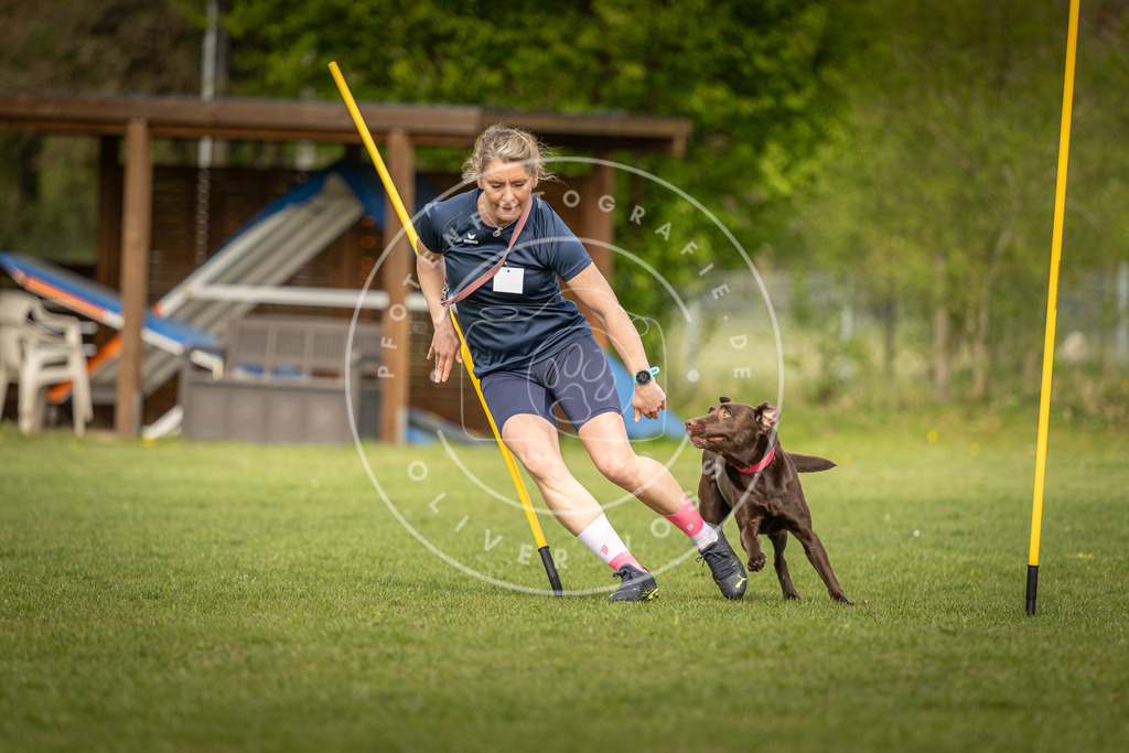 Pfotenfotografie_DV3A5317 | Hundefotografie, Tierfotograf, Pfotenfotografie, Fotoshooting Hund, Hunde Portrait, Hundesport, Hundeportraits, Heideshooting, Hunde, Sportfotograf, Hundefotograf, Turnierhundsport, THS,  - Realisiert mit Pictrs.com