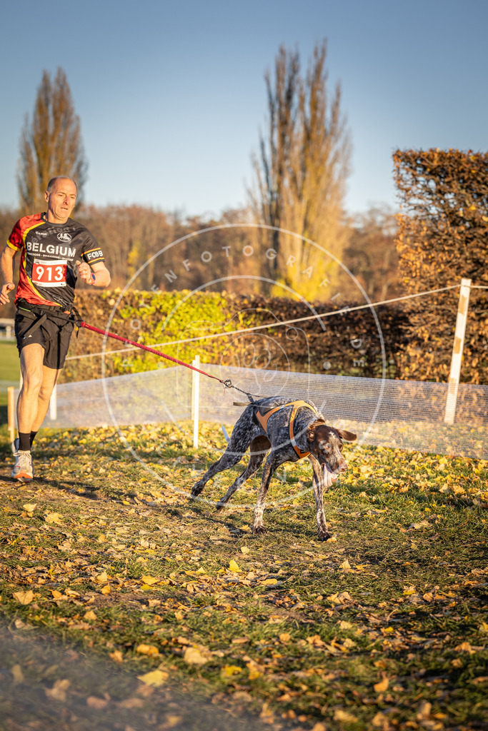 CaniXpix_DV3A4801 | Hundefotografie, Tierfotograf, Pfotenfotografie, Fotoshooting Hund, Hunde Portrait, Hundesport, Hundeportraits, Heideshooting, Hunde, Sportfotograf, Hundefotograf, Turnierhundsport, THS,  - Realisiert mit Pictrs.com
