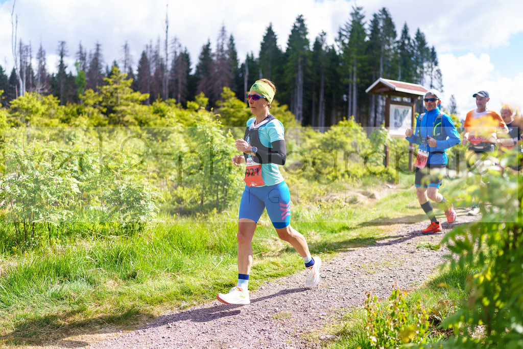 Rennsteiglauf Marathon 2025 | Marathon von Neuhaus/Rwg. nach Schmiedefeld/Rstg. am 17. Mai 2025