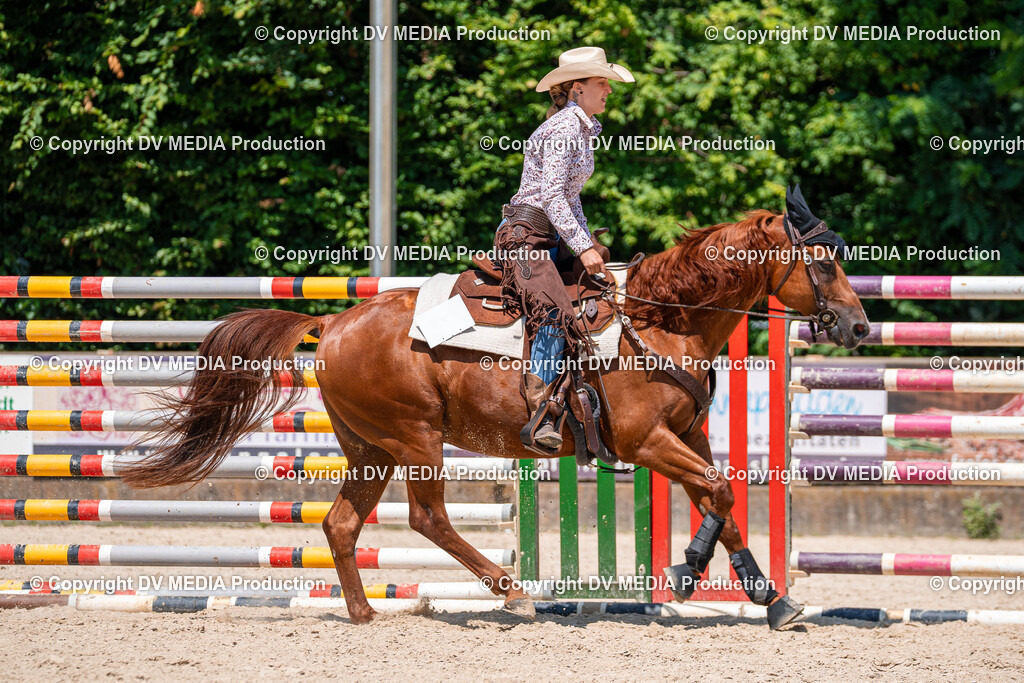 Zeiskam Tag 1-547 | dv-media-shop - Realisiert mit Pictrs.com