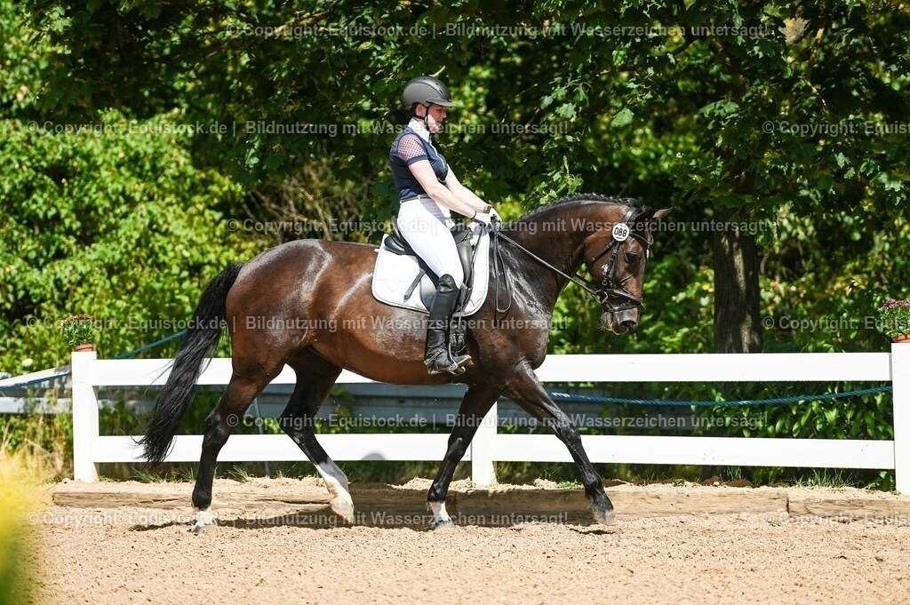 20230715_02_Dressurreiterprüfung Kl.L_0105 | equistock
