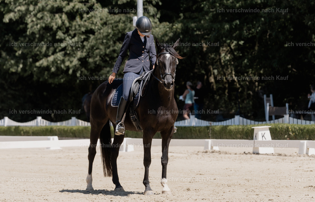 WE_DR_144_SinaFilmArt_IN03223 | working equitationturnier fotograf videograf stoibphotography marixx film working equitation deutschland reitsport turnierfotografie eventfotografie equestrian events