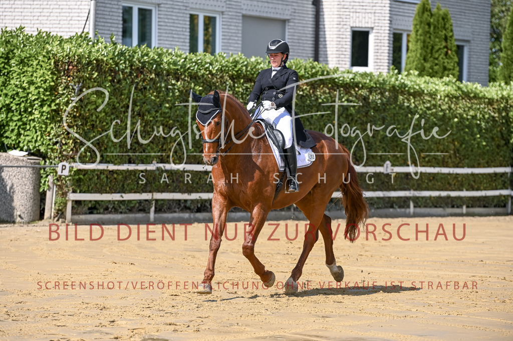 Schugtsche-Aluta25-58. Dressurprf.S1Kand.St.GeorgSpecial-233 | Schugtsche Fotografie - Realisiert mit Pictrs.com