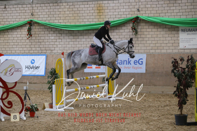IMG_0578 | Turnierfotos kaufen im Webshop von Daniel Kuhl Photography – entdecke professionelle Reitsportfotos aus Turnieren & Events. Hochwertige Turnierbilder online bestellen & sichern. Jetzt Fotos von Reitsportturnieren kaufen!