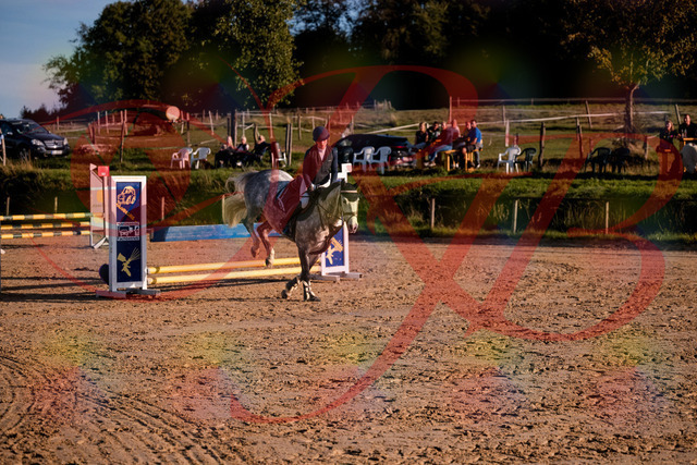 2026_10_03_Siefer-Hof_171434_Z81_12068345 | Professionelle Reitsport-, Turnier- und Eventfotografie von Robert Broda. Galerien mit ausgewählten und bearbeiteten Bildern direkt online ansehen und bestellen.
