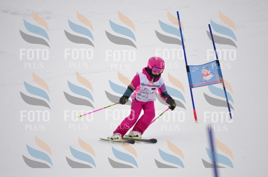 C0323 | holidayphoto