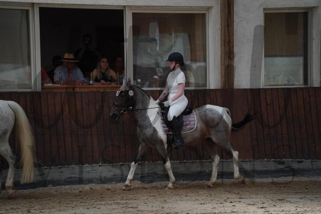 beckingen (231) | d.tail Visions - Shop - Realisiert mit Pictrs.com