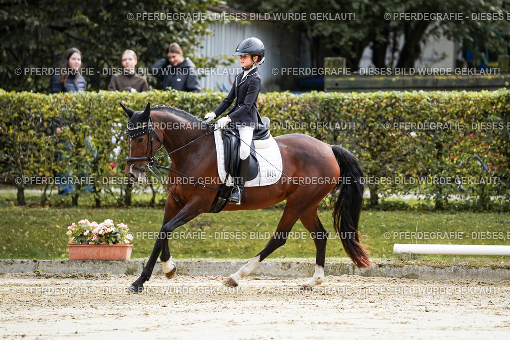 DSC05403 | Pferdegrafie