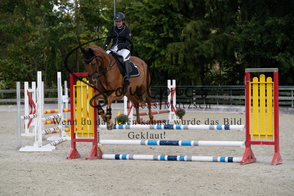 A7V07301 | Turnier/Reitfotograf