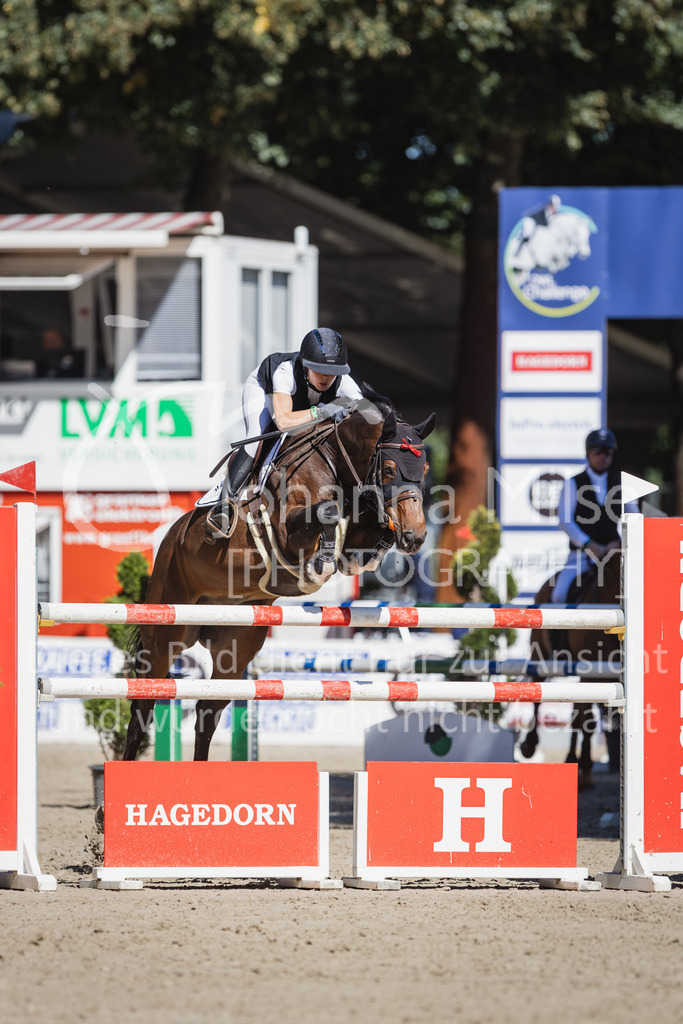 230908_OWLCh_MediumTour-189 | Deine schönsten Turniermomente als professionelle Fotos! Entdecke hochwertige Pferdesport-Fotografie im Online-Shop. Jetzt Fotos finden & bestellen!