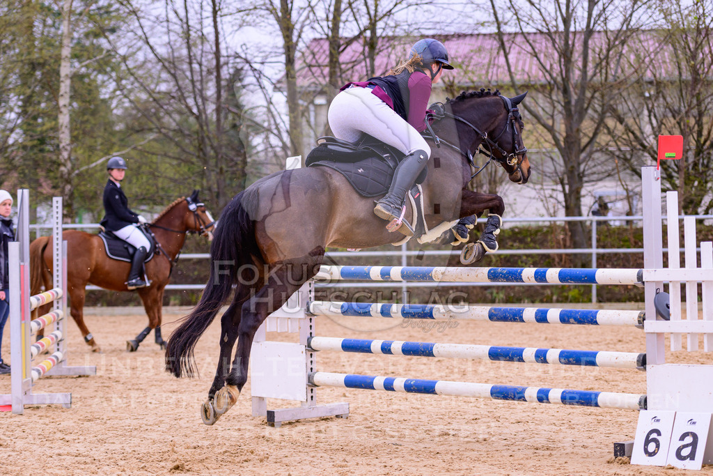 12042026-Mammendorf-Prfg43-0100 | Fokus Hufschlag Fotografie - Realisiert mit Pictrs.com