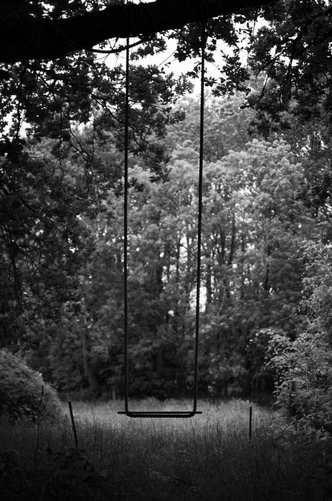 DSC_9200 | kaefersammler_roy - Realisiert mit Pictrs.com