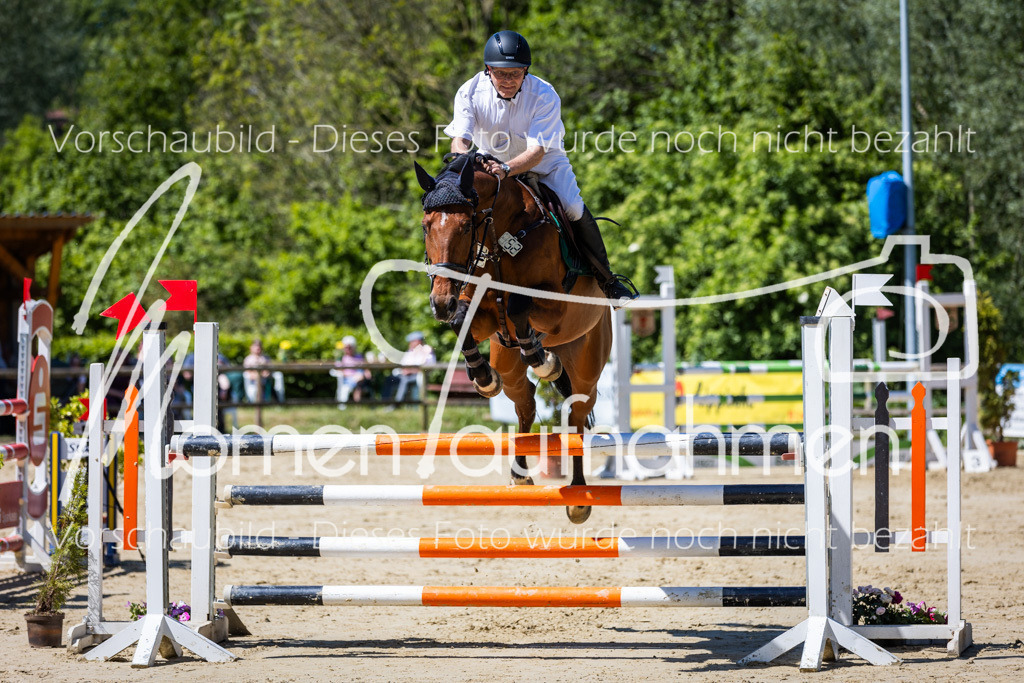 Donop24-L-Spr-015 | MomenTaufnahmen Pferdesportfotos