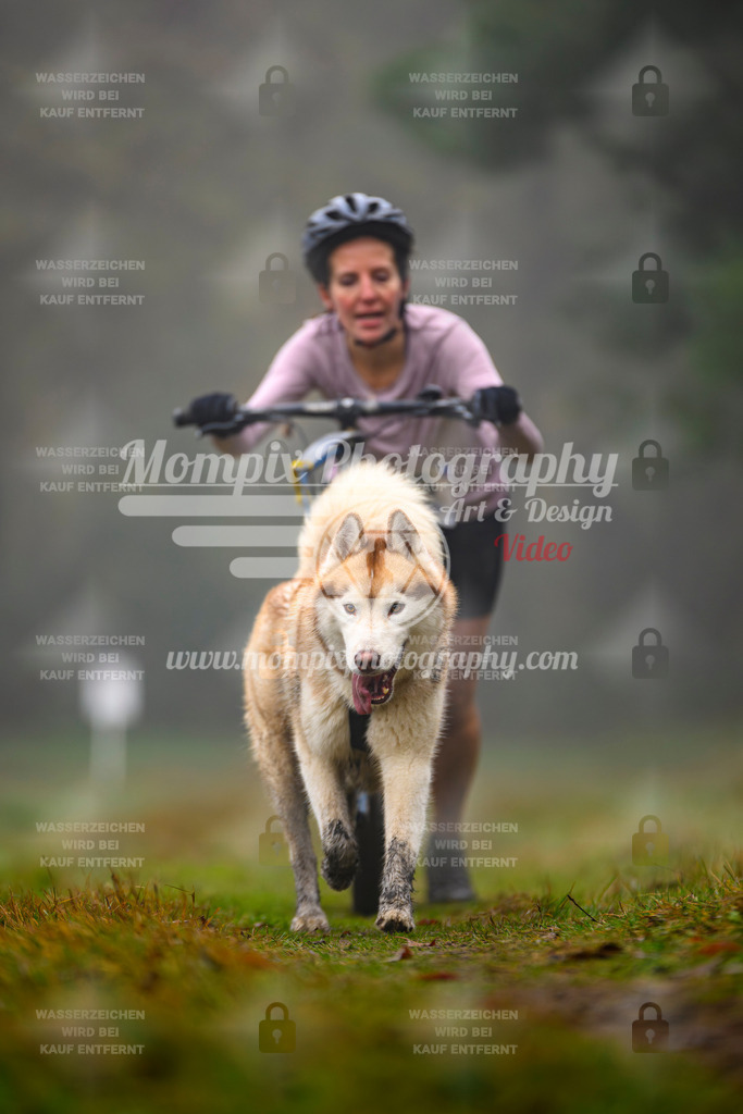 MompixPhotography_Bischwiller2025_Scooter-62 | mompixphotography