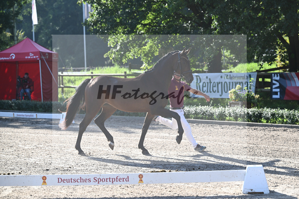 Kat-Nr. 8 Bahama Mama_ZG Sautter_36230591 | hf-fotografie - Realisiert mit Pictrs.com