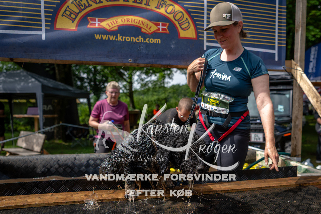 1113_ZZ92991 | kk-dogfotos