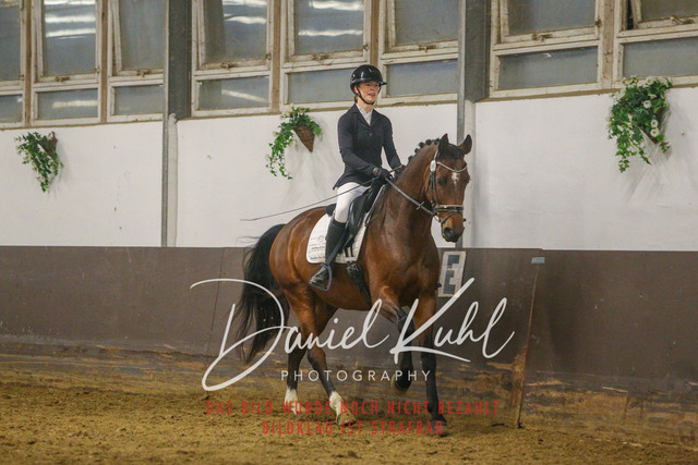 IMG_8363 | Turniersportfotografie; Pferdefotografie; Dressurfotografie