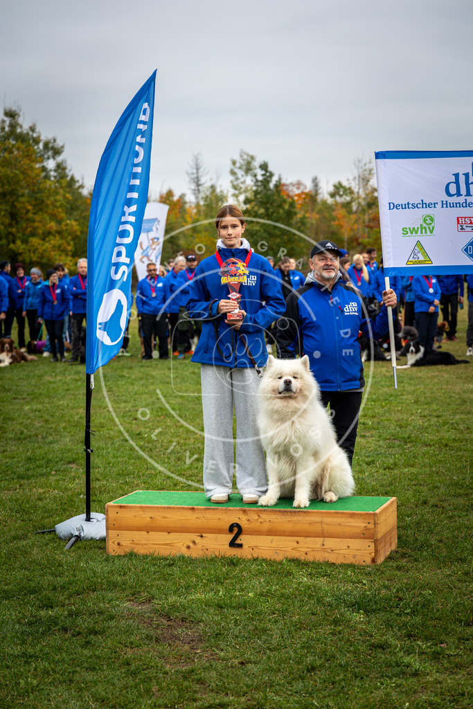 Pfotenfotografie_0L8A0416 | Hundefotografie, Tierfotograf, Pfotenfotografie, Fotoshooting Hund, Hunde Portrait, Hundesport, Hundeportraits, Heideshooting, Hunde, Sportfotograf, Hundefotograf, Turnierhundsport, THS,  - Realisiert mit Pictrs.com
