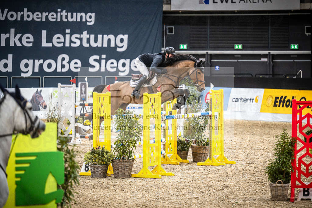 DOS_2755 | Entdecke hochwertige Reitturnierfotos von Foto Oger. Professionell, emotional und authentisch – jetzt Lieblingsmomente im Shop bestellen.Deutschlandweite Turnierfotografie. - Realisiert mit Pictrs.com