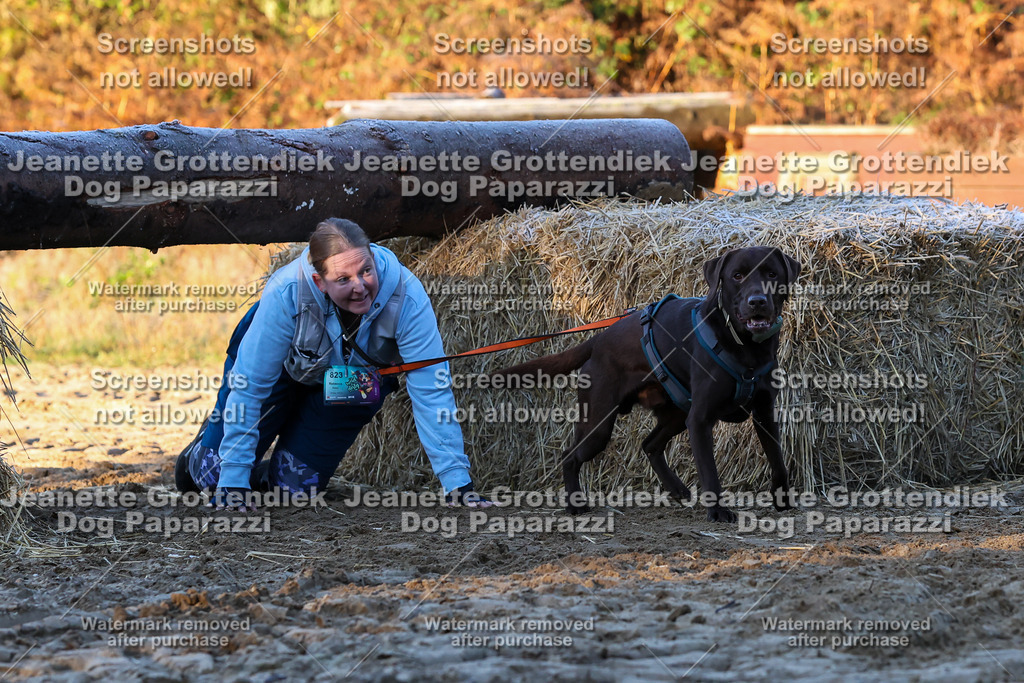 Dog Paparazzi - Strongdog 10-25-543 | Dog Paparazzi Jeanette Grottendiek Fotografie & Videografie - Realisiert mit Pictrs.com