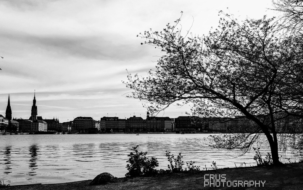 Photo_1693169525243 | crus-photography