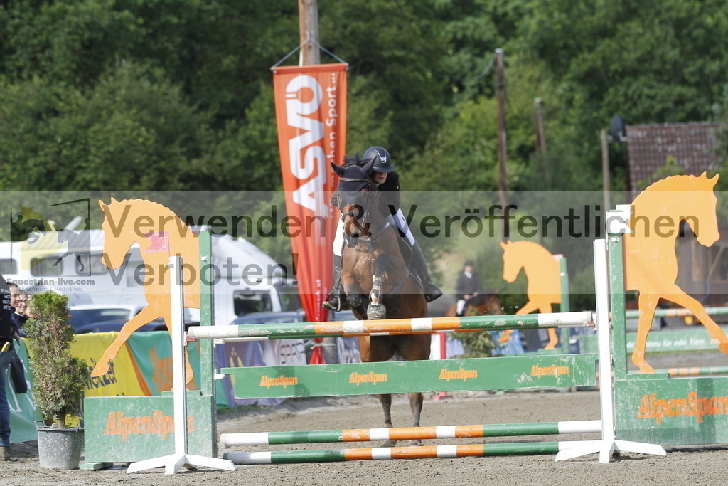 _MG_8157 | equestrian-live-com