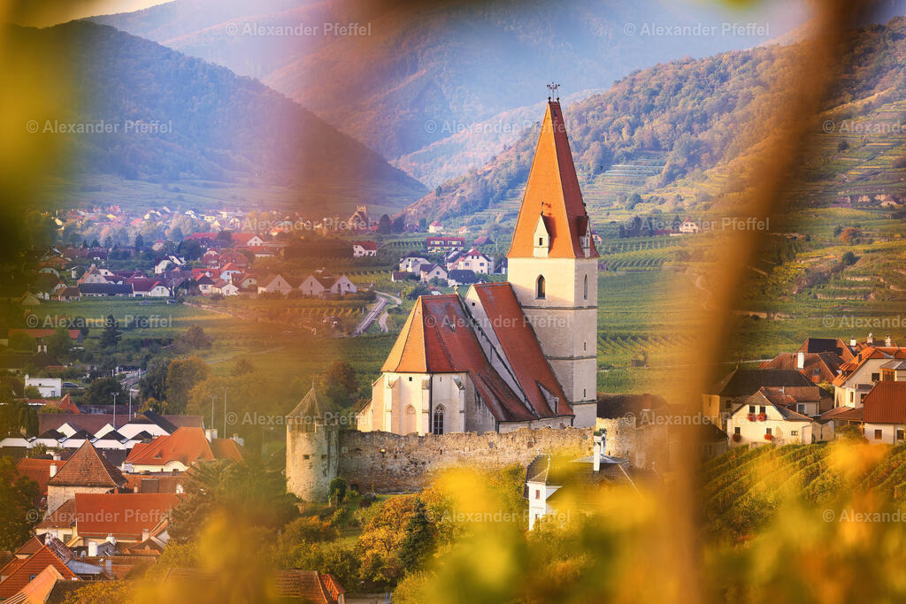 foto_c_pfeffel-partner-0066-R52_0080-Bearbeitet-Bearbeitet | alexander-pfeffel - Realisiert mit Pictrs.com