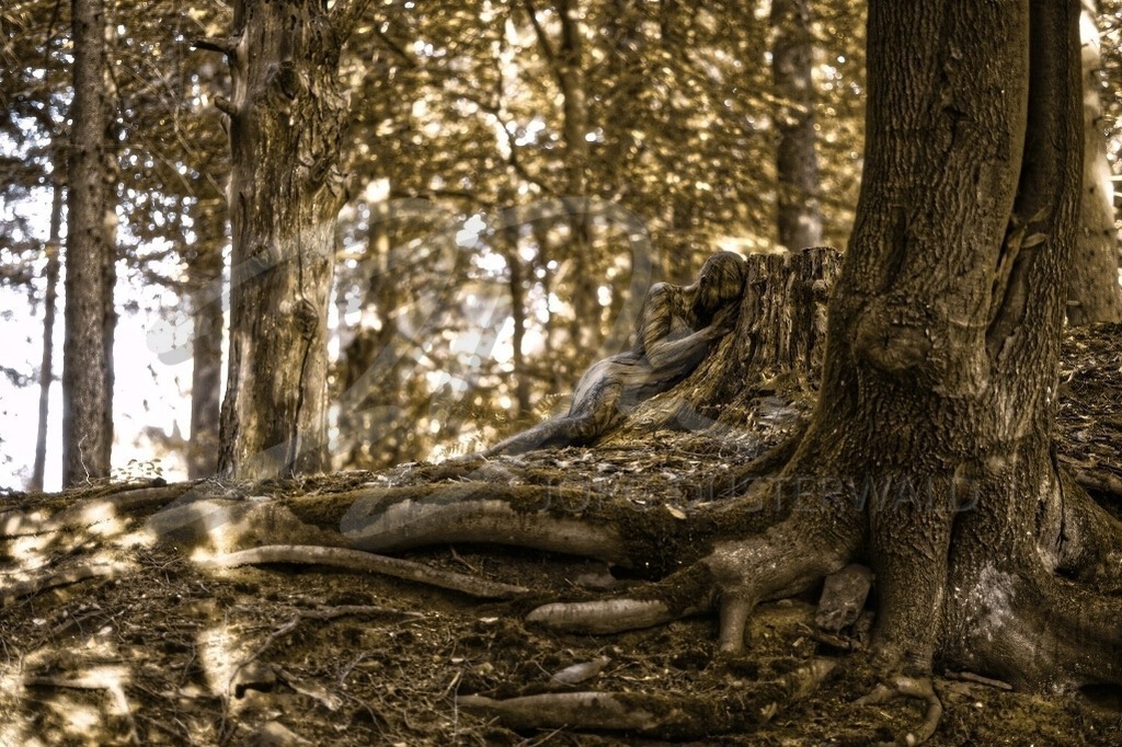 NatureArt-JAHNBAUM_8039c2 | Wurzeln im Schatten | #005 | Modell: Martina | Foto: Jörg Bredemeier - Realisiert mit Pictrs.com