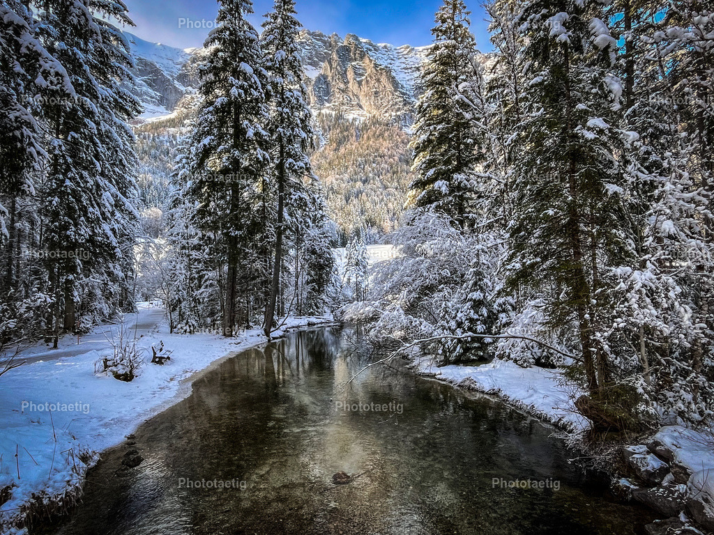 IMG_6381 | phototaetig