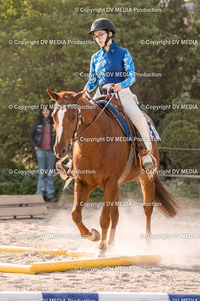 Balingen Tag 5-218 | dv-media-shop - Realisiert mit Pictrs.com