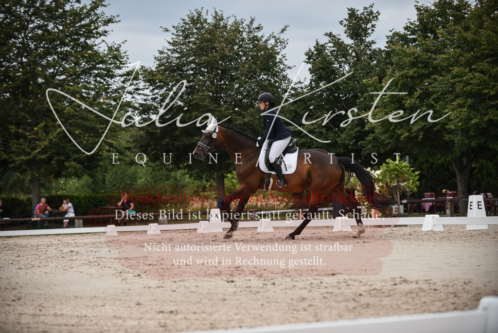 DSC_8466 | Pferde- und Turnierfotografie in Westsachsen. Pferdeportraits, Auftragszeichnungen und intuitive Kunst.