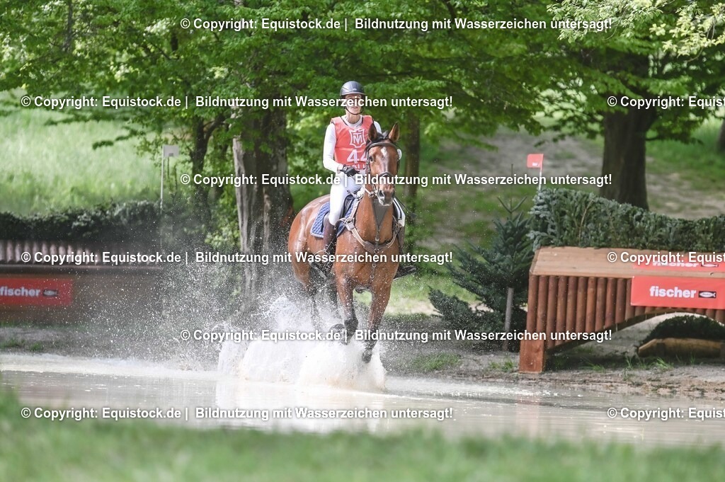20250517_CCI2_Gelände_1107 | Foto: Thomas Hartig