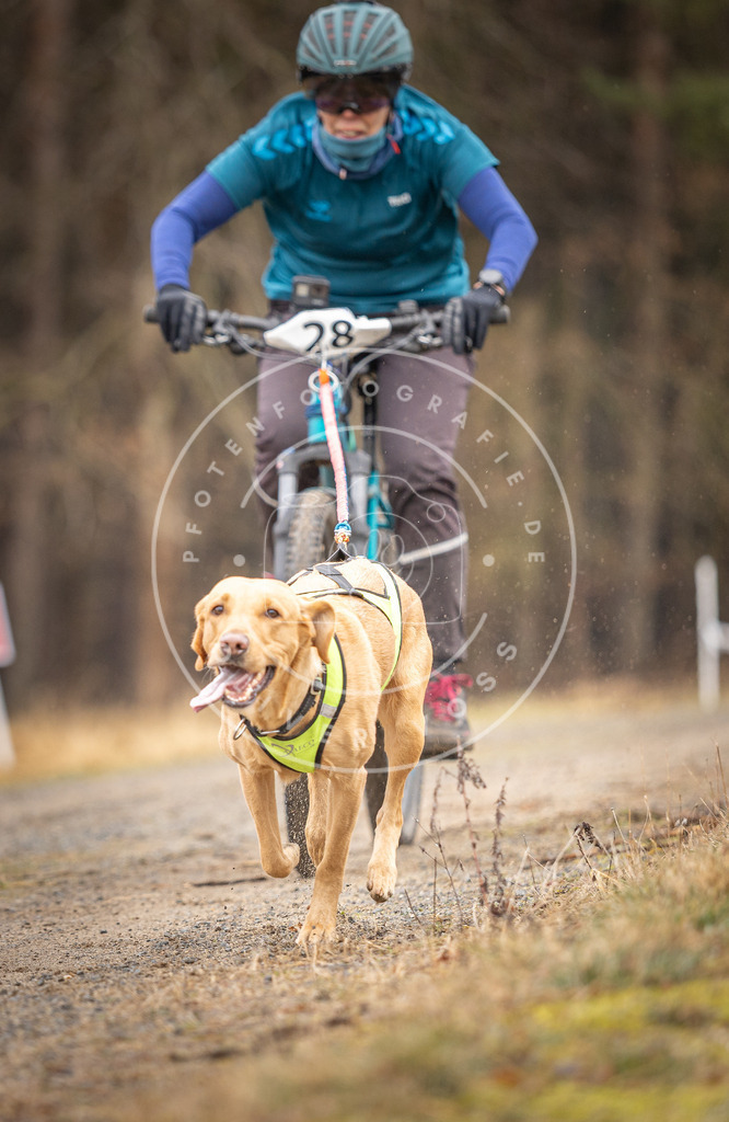 DV3A3325 | Hundefotografie, Tierfotograf, Pfotenfotografie, Fotoshooting Hund, Hunde Portrait, Hundesport, Hundeportraits, Heideshooting, Hunde, Sportfotograf, Hundefotograf, Turnierhundsport, THS,  - Realisiert mit Pictrs.com