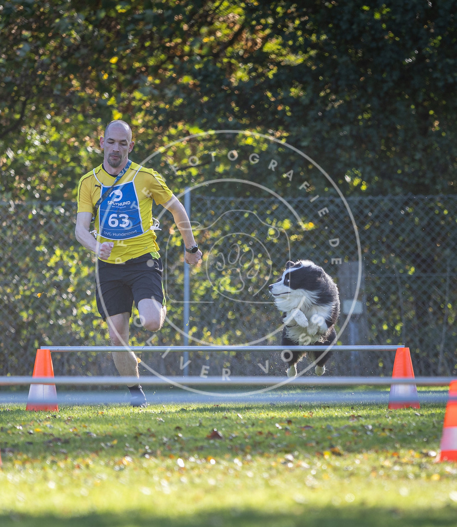 Pfotenfotografie.de_DV3A3179 | Hundefotografie, Tierfotograf, Pfotenfotografie, Fotoshooting Hund, Hunde Portrait, Hundesport, Hundeportraits, Heideshooting, Hunde, Sportfotograf, Hundefotograf, Turnierhundsport, THS, canicross - Realisiert mit Pictrs.com