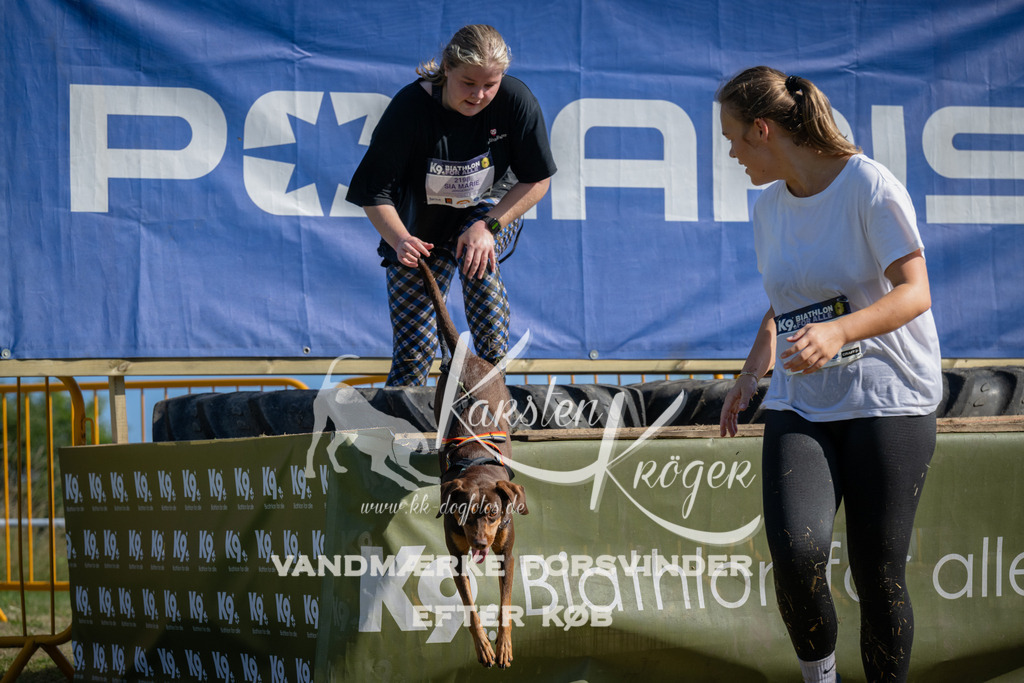 1029_ZZ98787 | kk-dogfotos