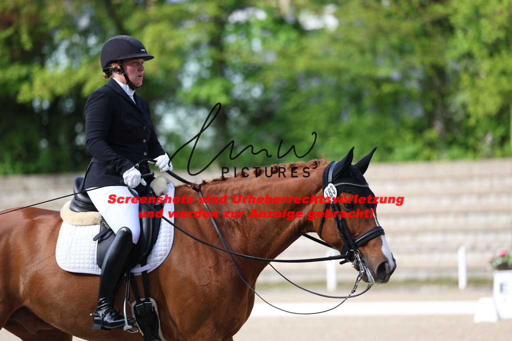 A40A3399 | lmwpictures - Realisiert mit Pictrs.com