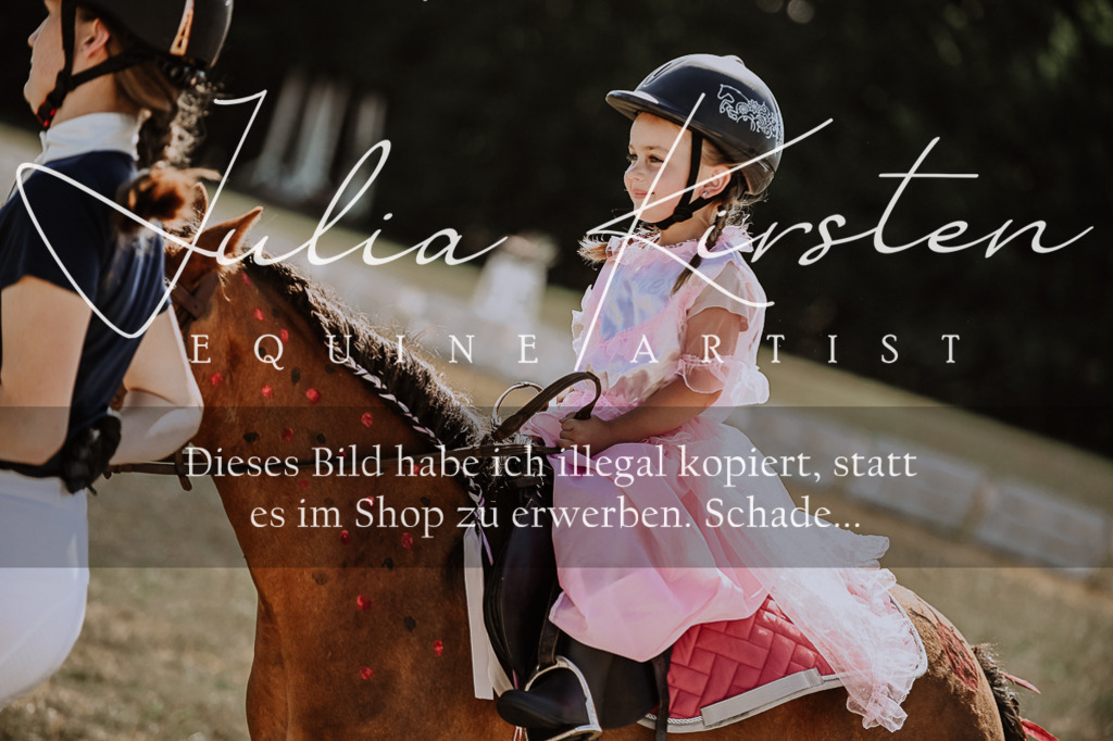 DSC_9059 | Pferde- und Turnierfotografie in Westsachsen. Pferdeportraits, Auftragszeichnungen und intuitive Kunst.