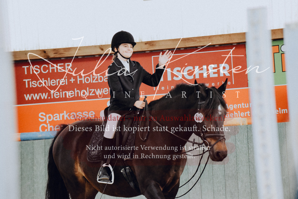 DSC_7256 | Pferde- und Turnierfotografie in Westsachsen. Pferdeportraits, Auftragszeichnungen und intuitive Kunst.