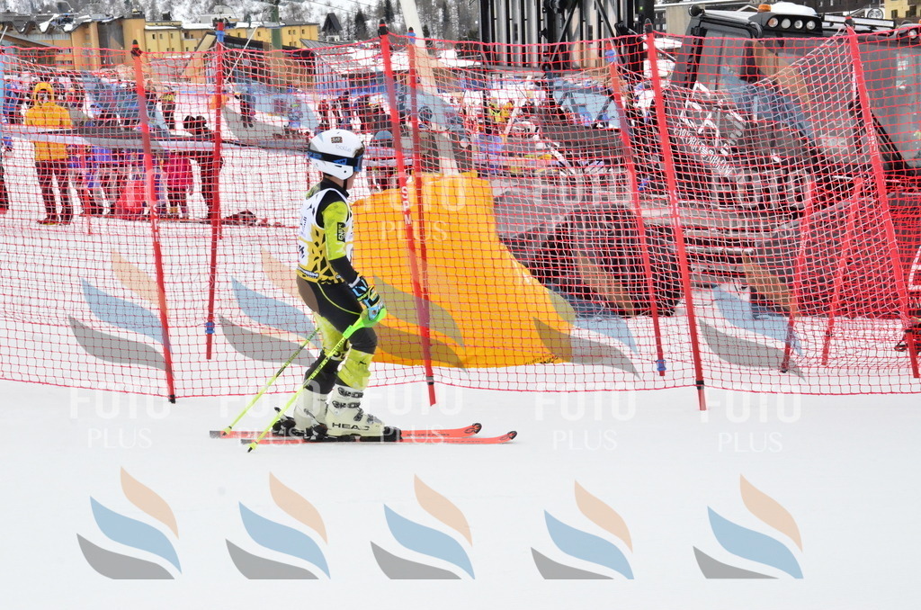 _ELE3903 | holidayphoto