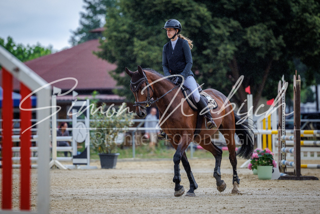 20260705-_3LI3488 | Tierfotografie Pferde, Hunde, Katzen, Haustiere.
Turnierfotografie Reitturniere, Reiten, Springreiten, Dressur in Hanau, dem Main-Kinzig-Kreis und dem Rhein-Main- Gebiet um Frankfurt