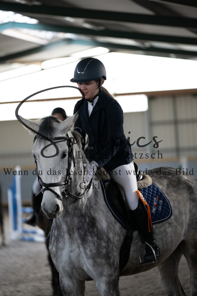 A7V01885 | Pferdefotograf