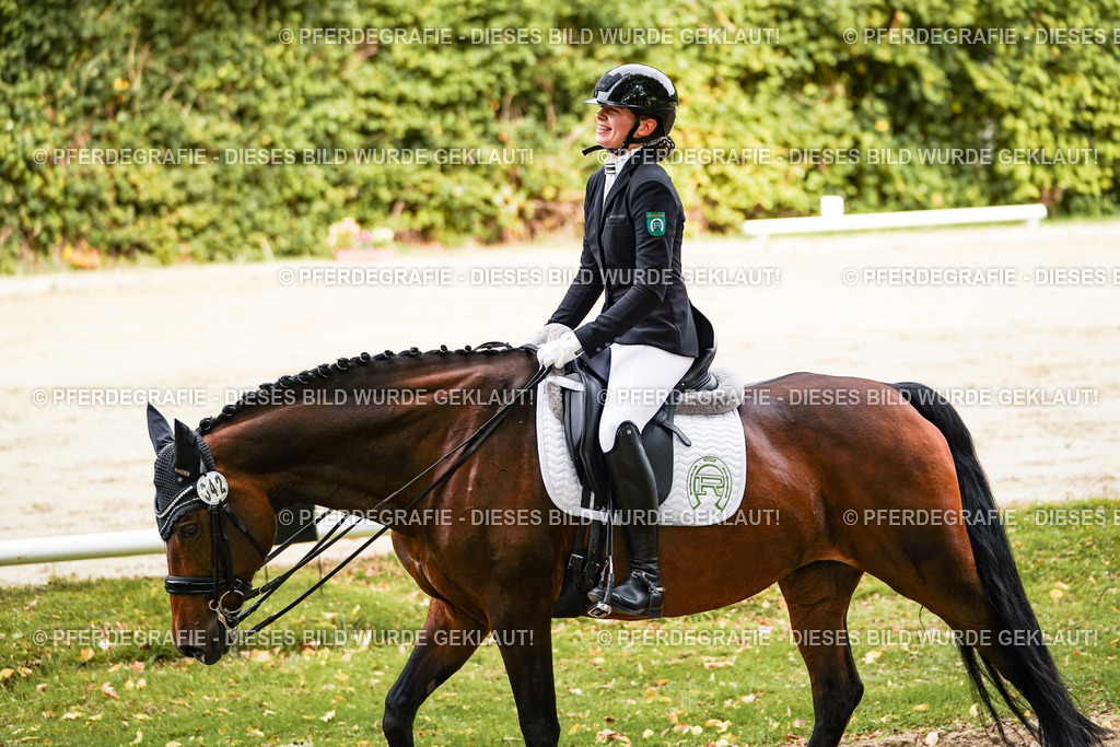 DSC02120 | Pferdegrafie