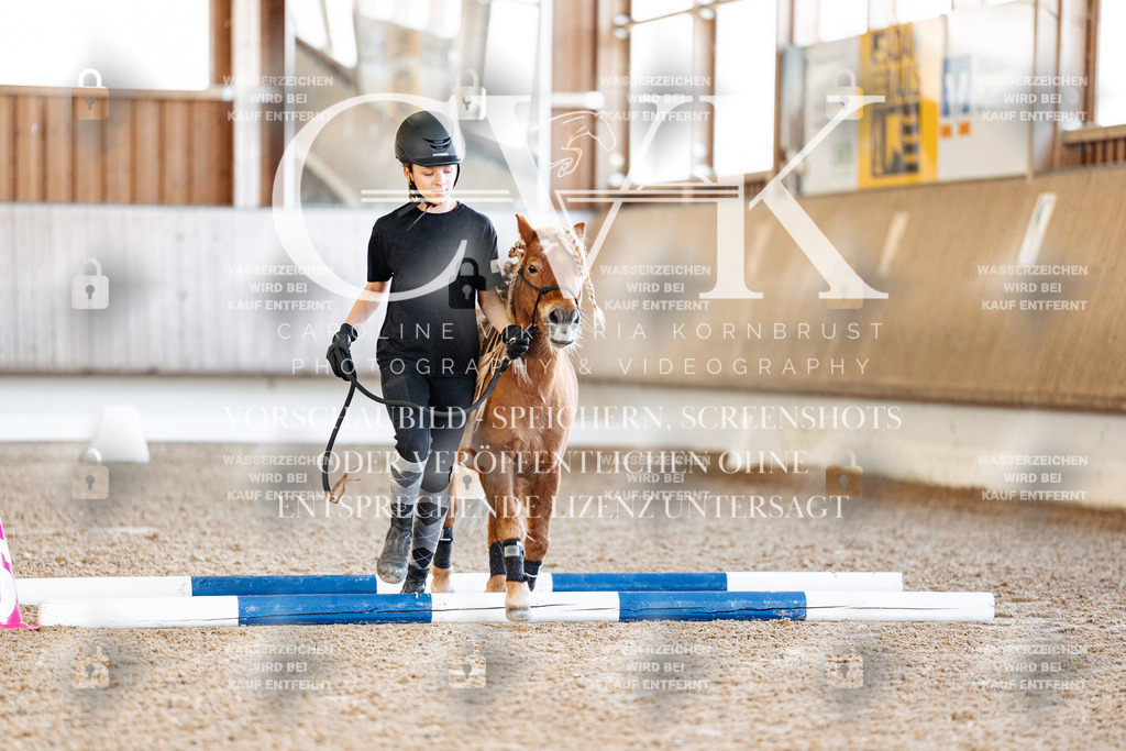 CK905259 | Turnierfotografie Pferdefotografie Trier Rheinland-Pfalz Pferdesport Reitsport Tierfotografie Sportfotografie Pferdevideo Pferdevideografie Equestrianvideography equestrianphotography  - Realisiert mit Pictrs.com