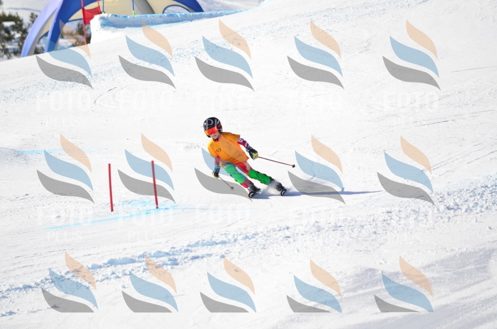 C6237 | holidayphoto