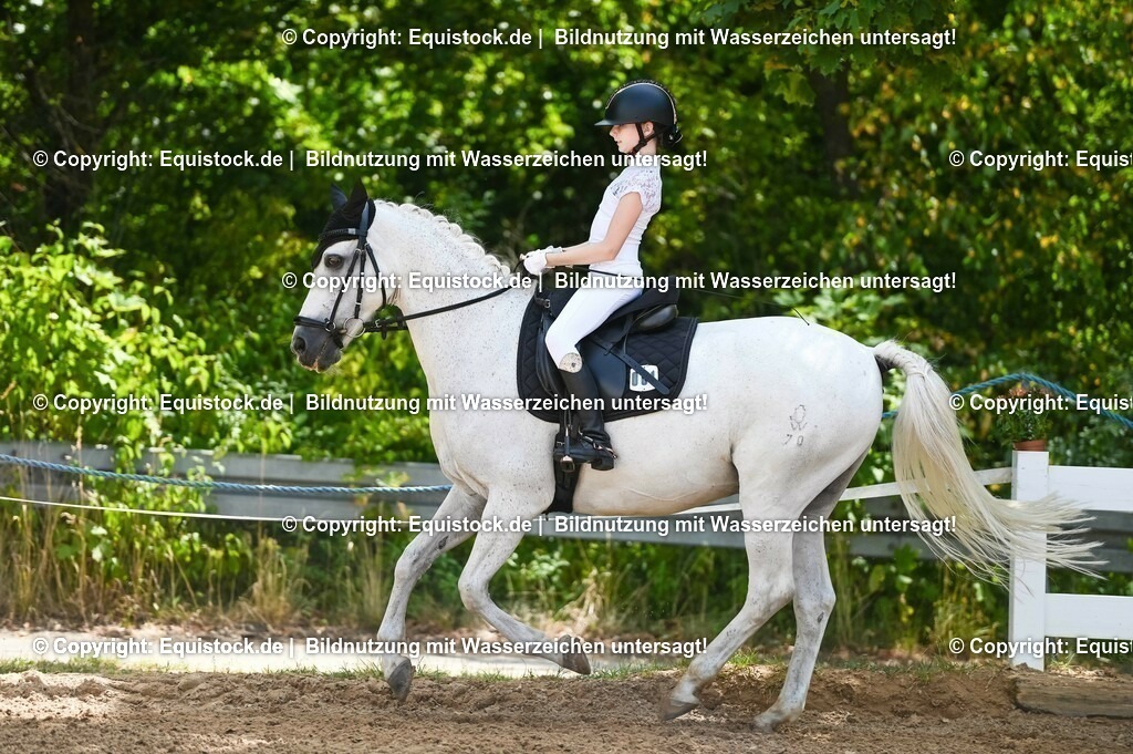 20230715_09_Dressur-WB_0088 | equistock